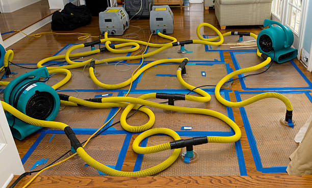 Professional Water Damage Repair technician working in Interlochen, MI